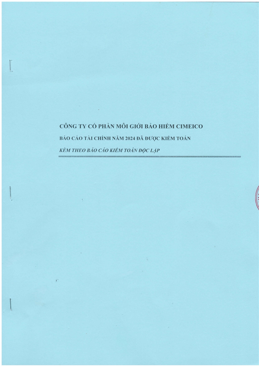 Công ty CP Môi giới Bảo hiểm CImeico: Báo cáo tài chính năm 2024